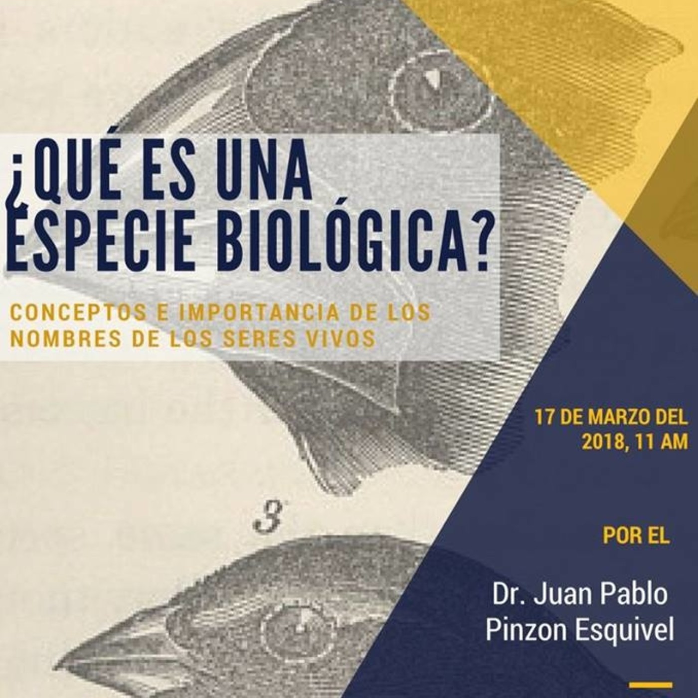 Conferencias Casa de Libros