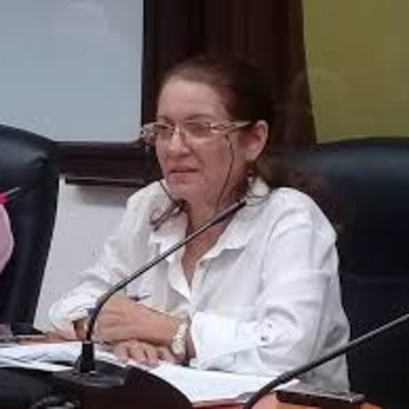 Magalis Rivero Ramírez, Directora de Inversiones del Instituto de Planificación Física episode artwork