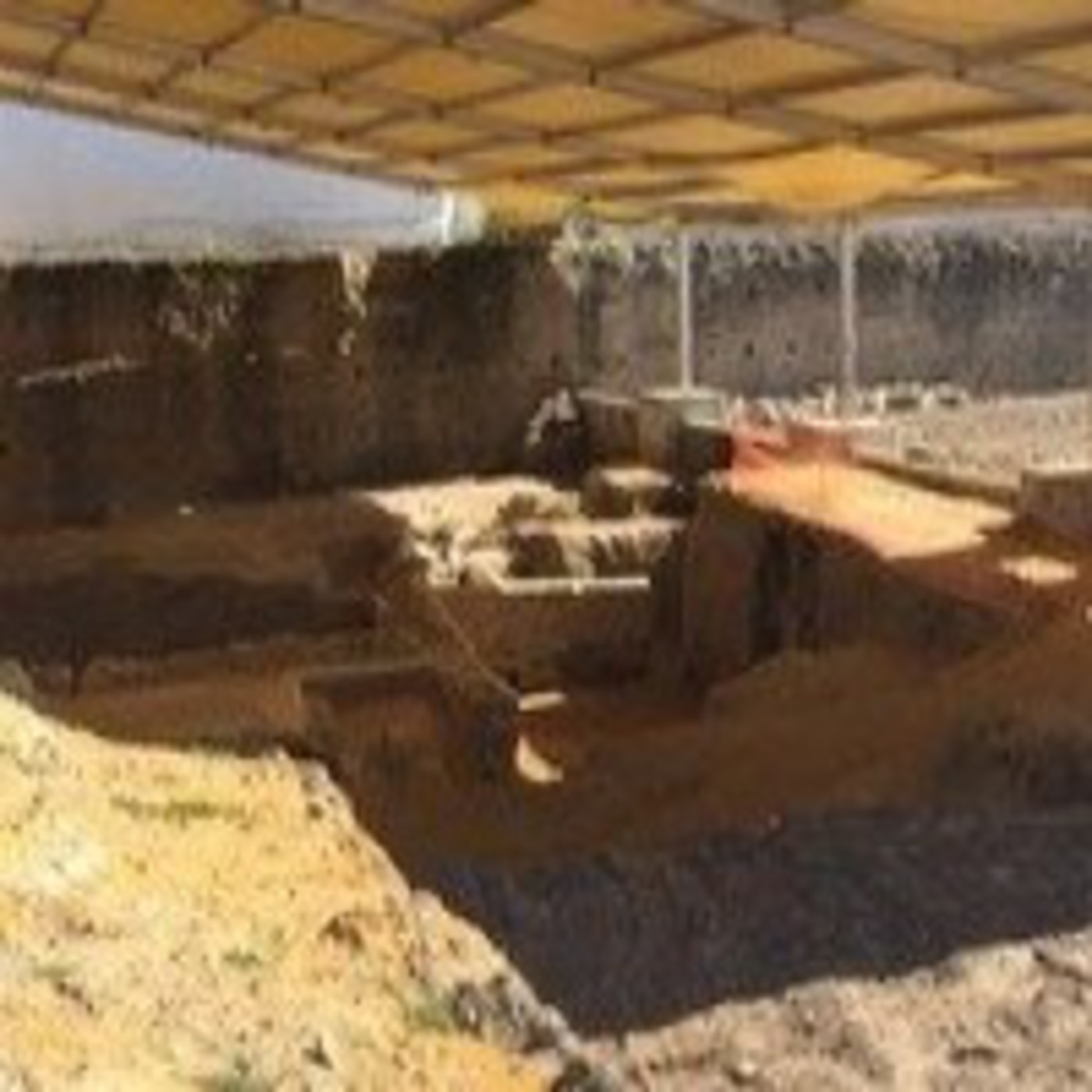 Hallan en Écija un edificio romano con una conservación equiparable a Pompeya episode artwork