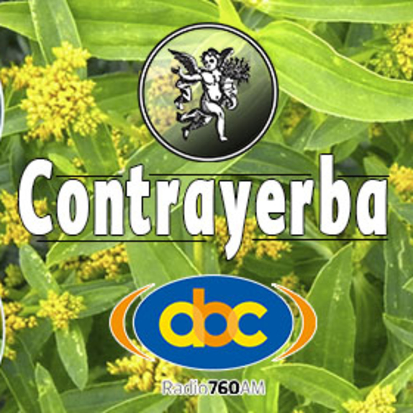 El Ángel de tu Salud - CONTRAYERBA episode artwork