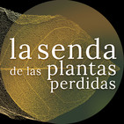 Empieza la aventura {La Senda de las Plantas Perdidas}