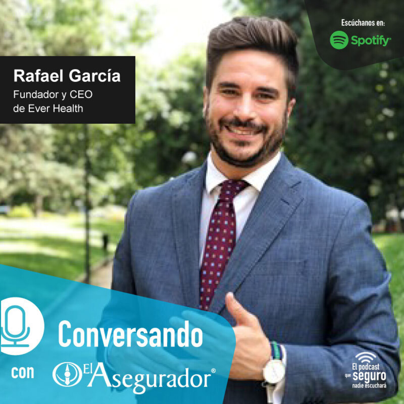 El Asegurador