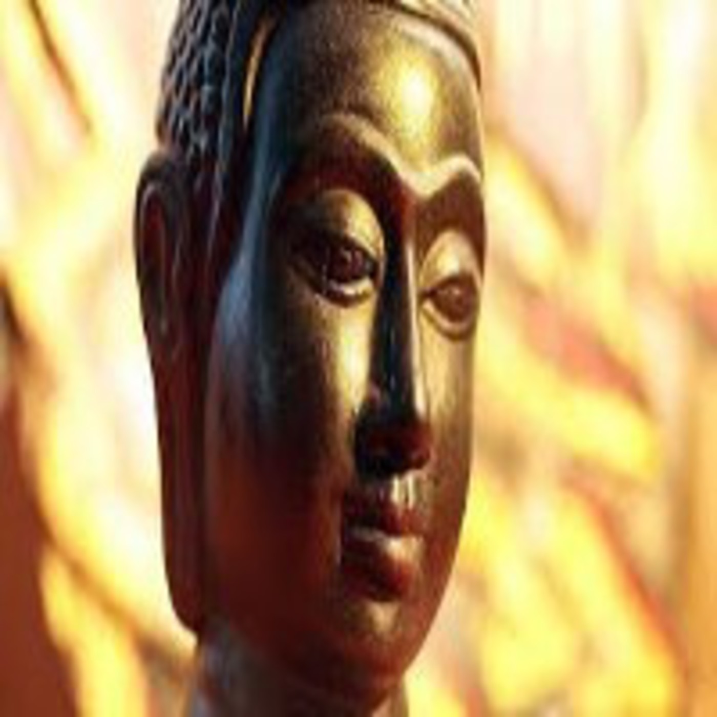 Discursos del Buddha. La Rueda del Dhamma episode artwork