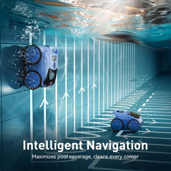 embed image