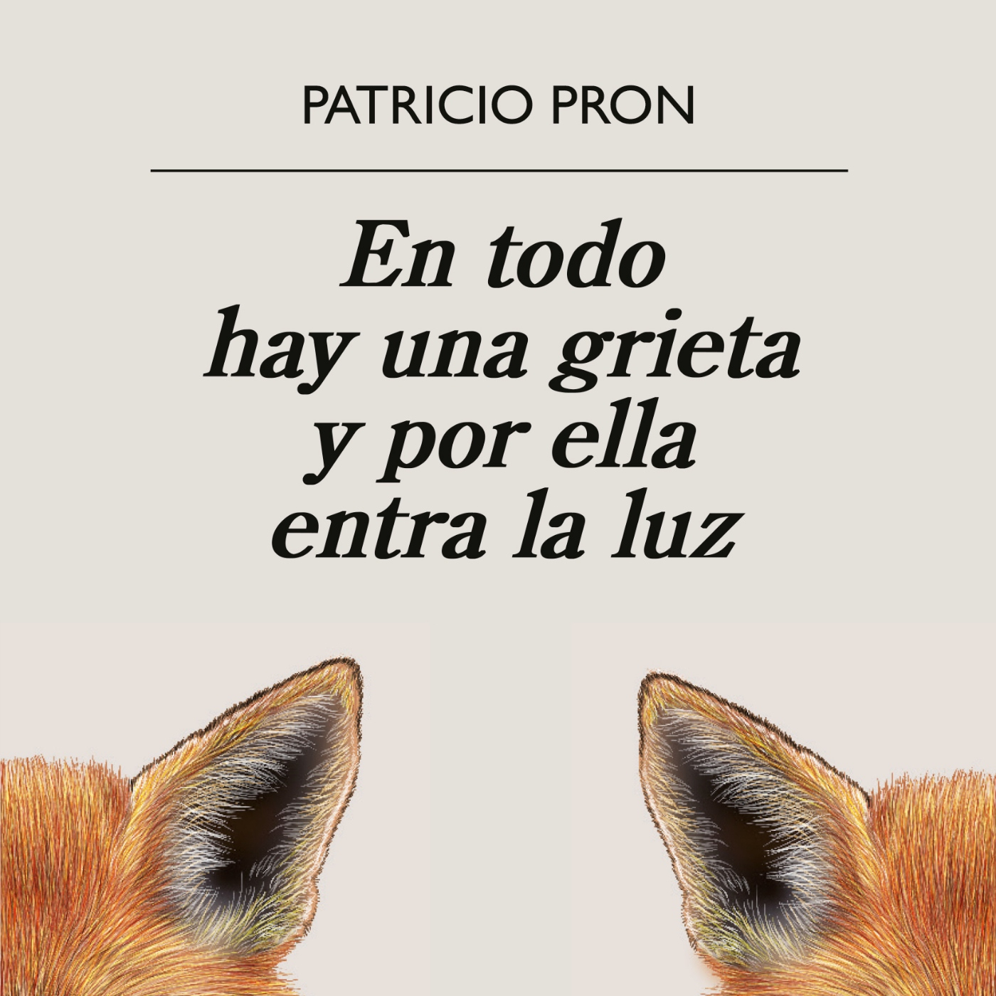 En todo hay una grieta y por ella entra la luz episode artwork