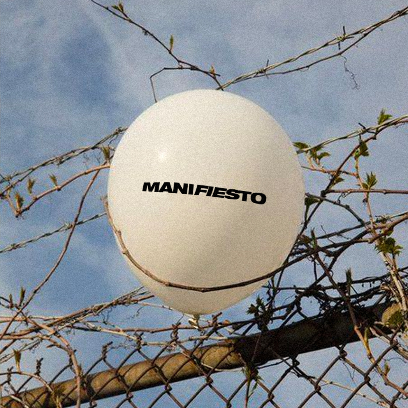 MANIFIESTO