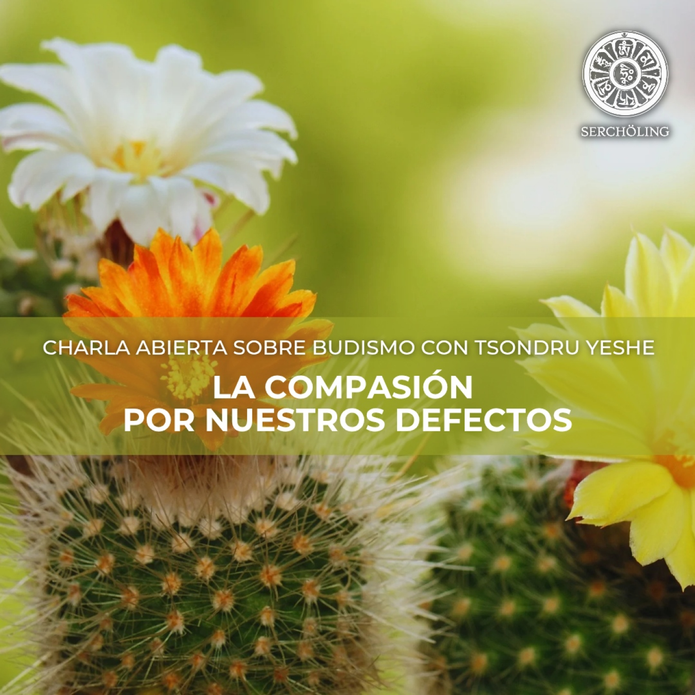 Charlas sobre Budismo con Tsondru Yeshe