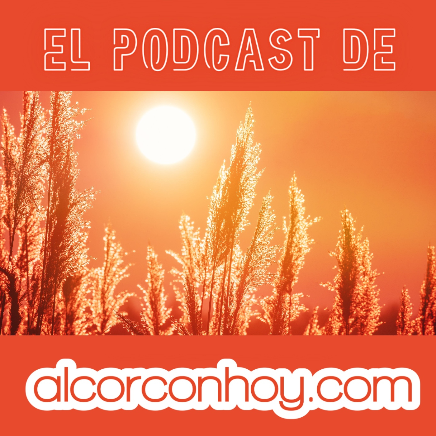 alcorconhoy.com - Tus noticias de Alcorcón