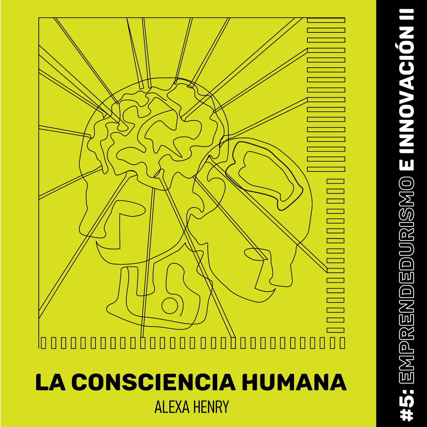 LA CONSCIENCIA HUMANA