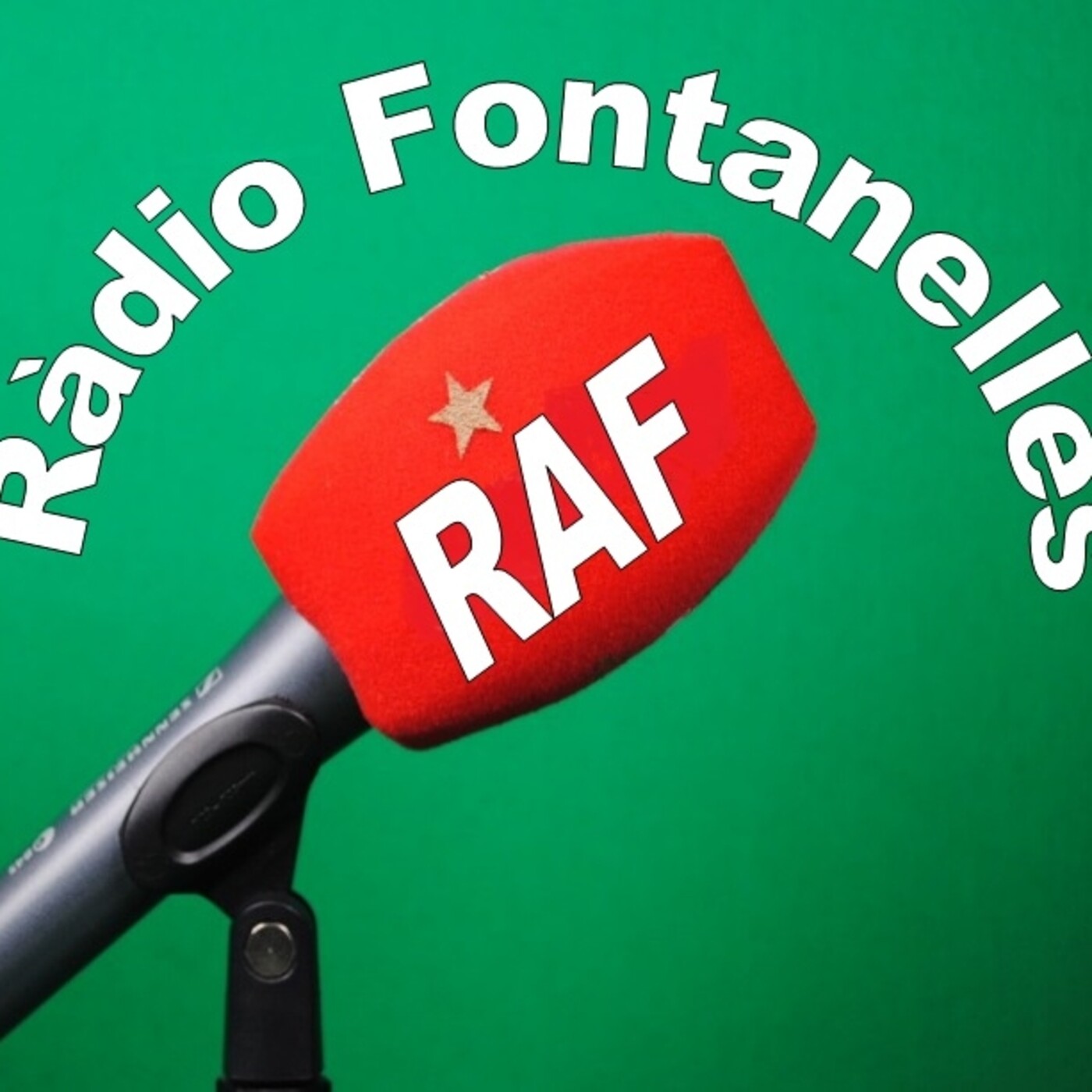 Entrevistes