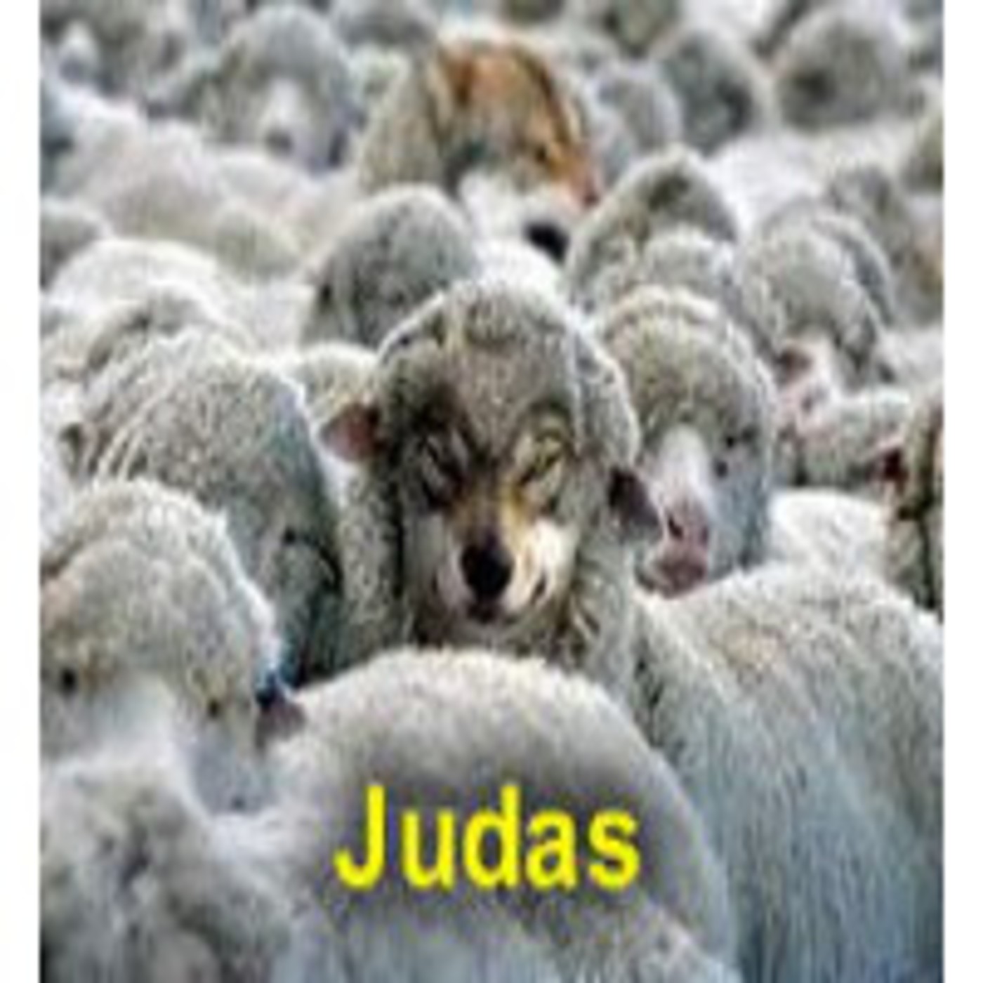 Judas. La Biblia en Audio episode artwork