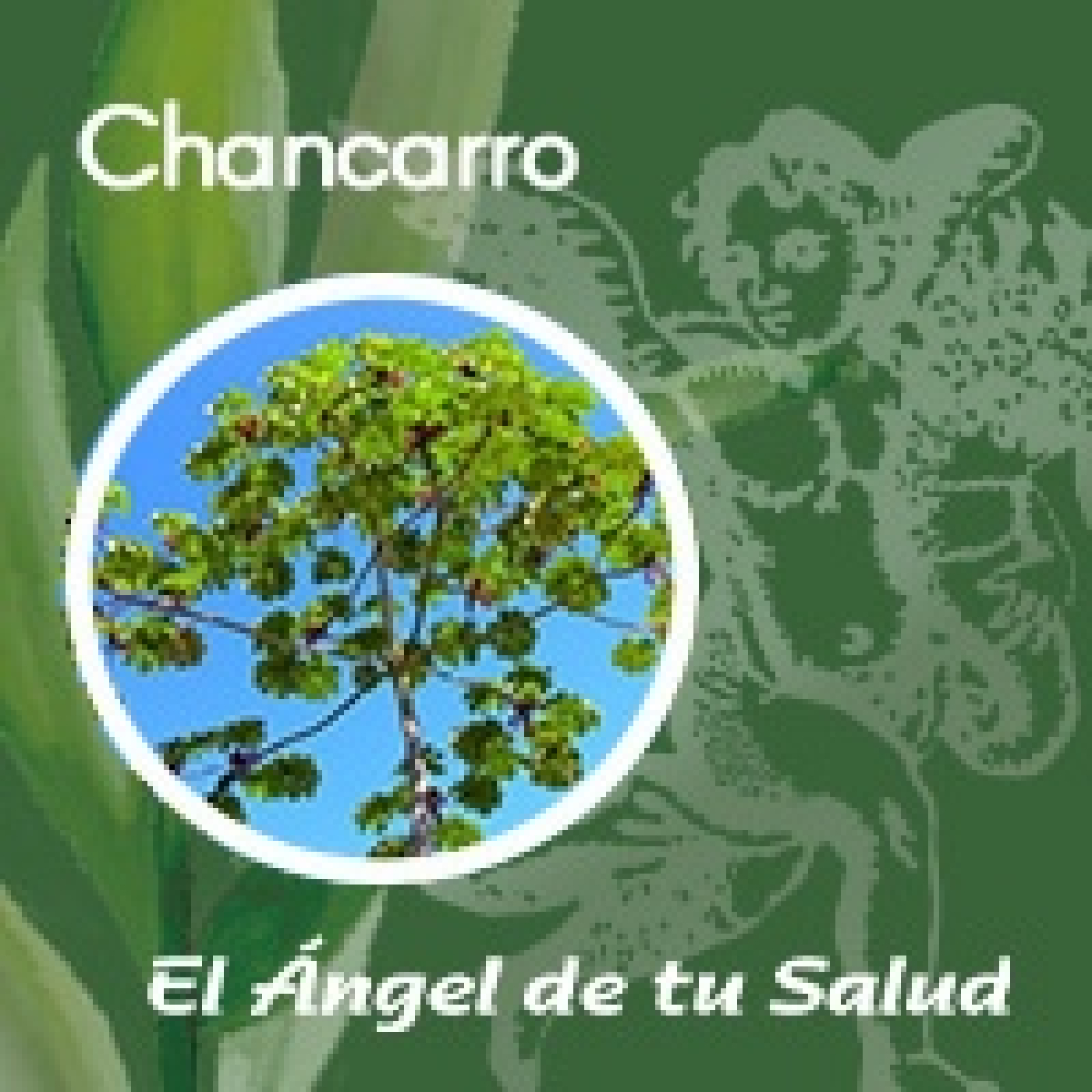 El Ángel de tu Salud - Chancarro** episode artwork