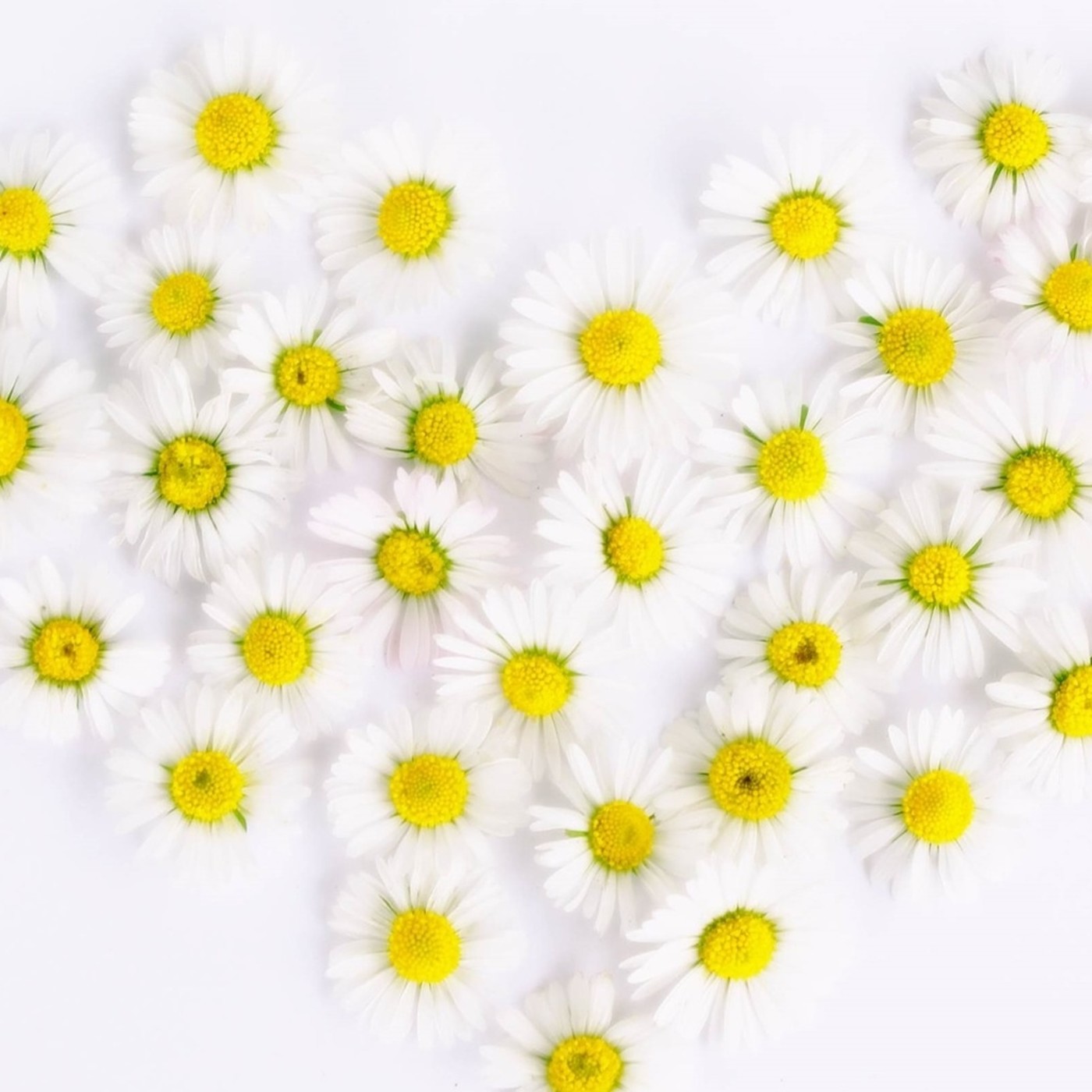 Zentrum Coaching Entrevistas