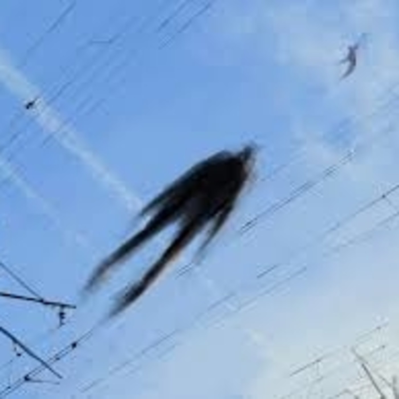 Carthago Nova in veritate