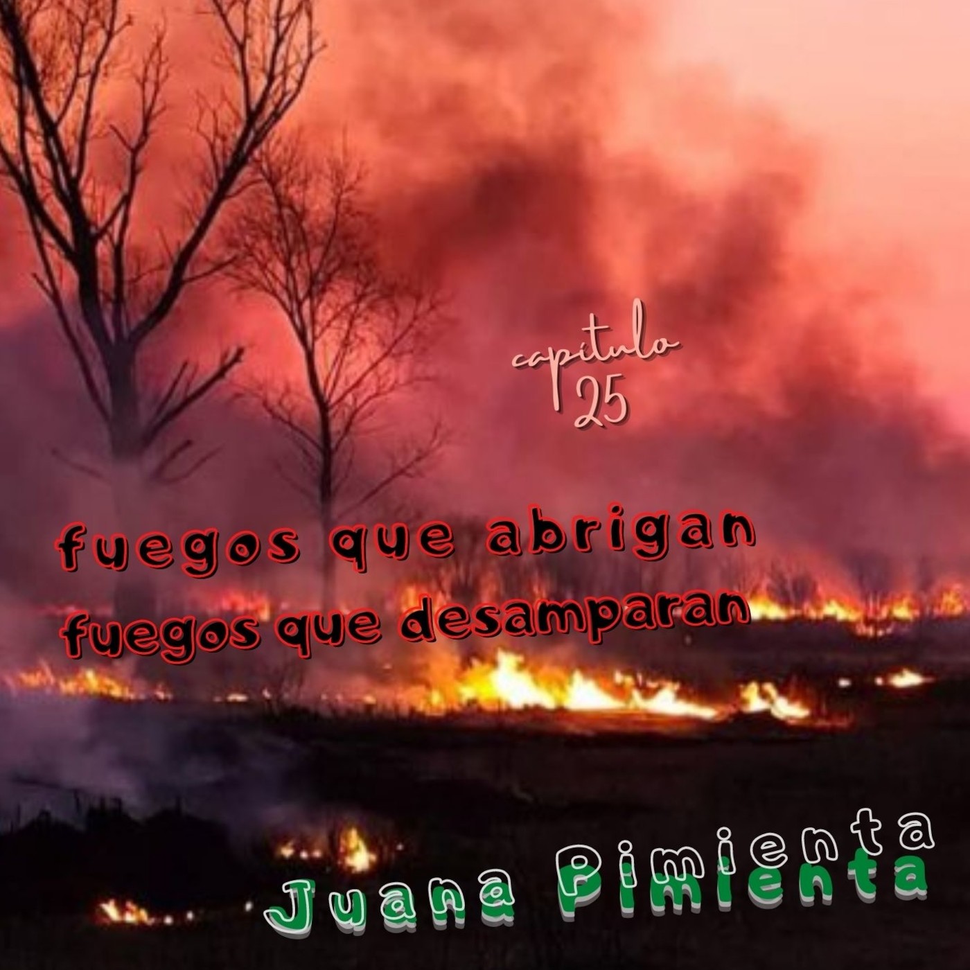 Juana Pimienta - regreso en tiempo de coronavirus