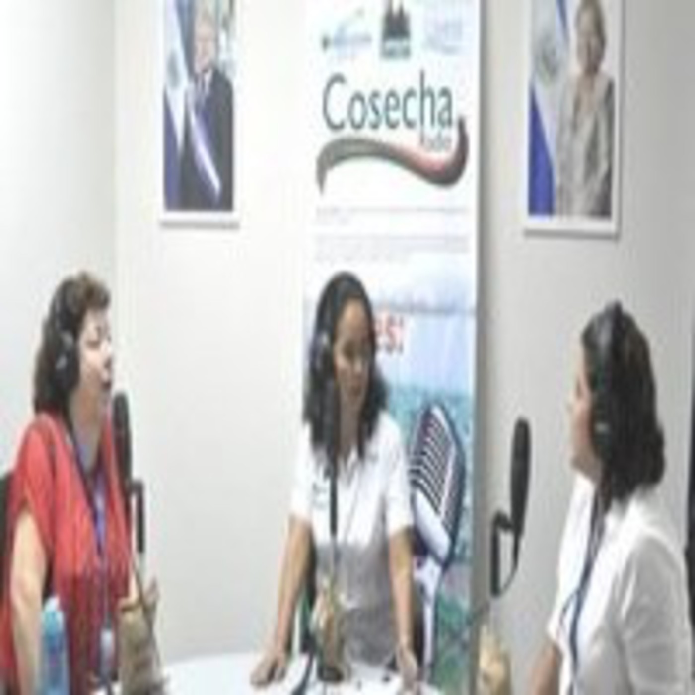 COSECHA RADIO - PODCAST