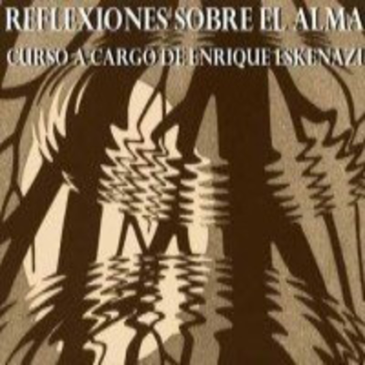 Reflexiones sobre el Alma (2008)