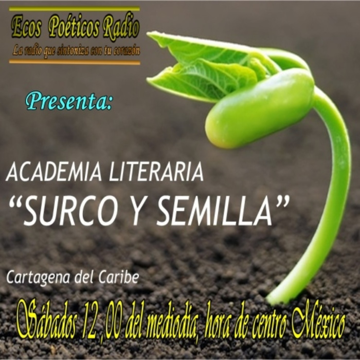 ACADEMIA LITERARIA SURCO Y SEMILLA
