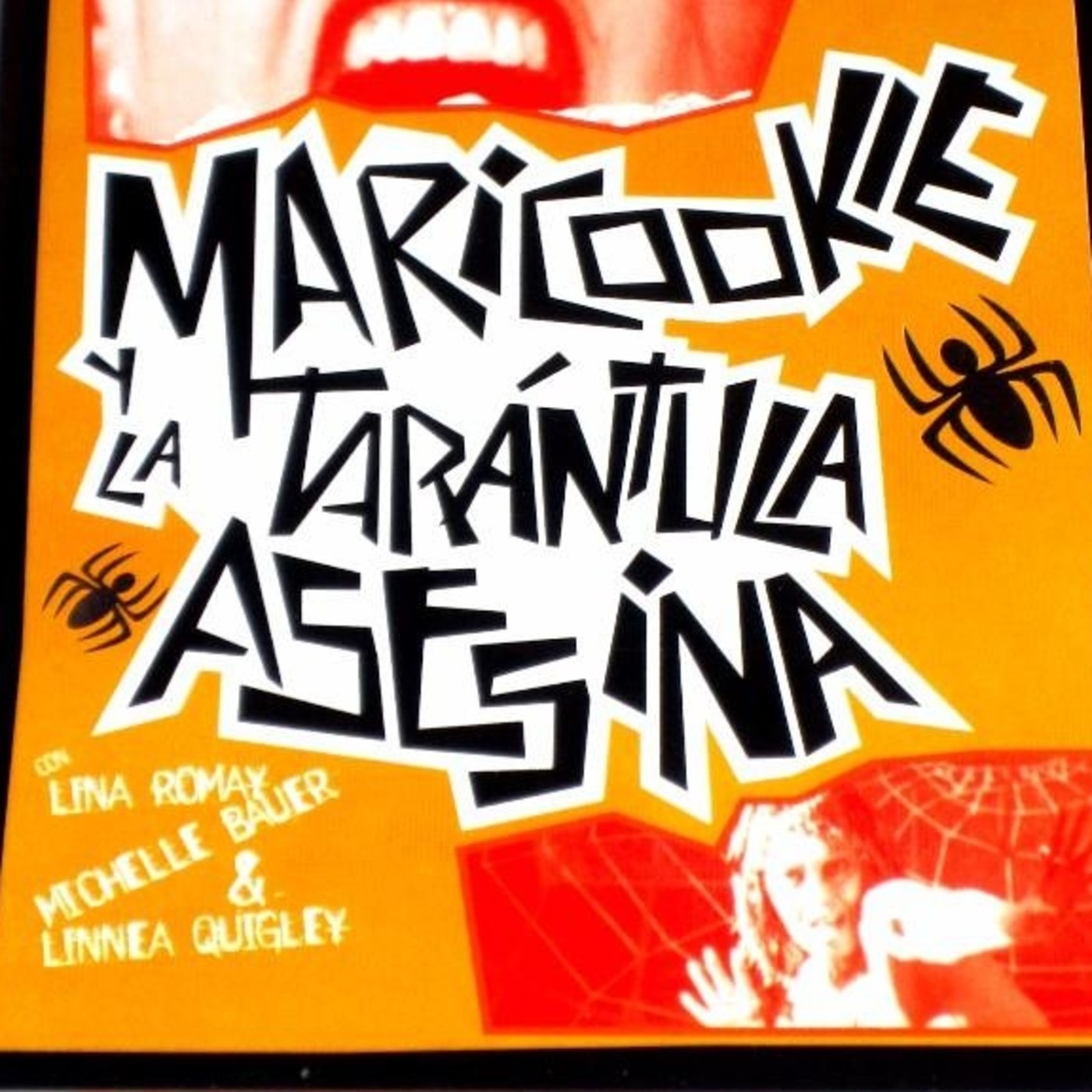 Bauer Autora De Libros Asesinos Seriales