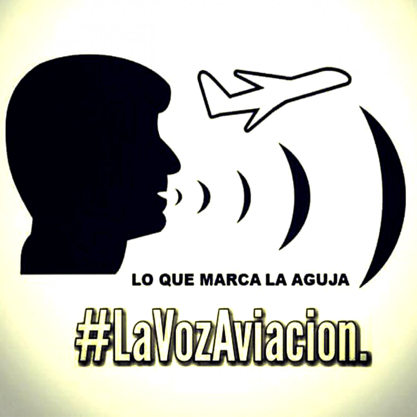 lavozaviacion