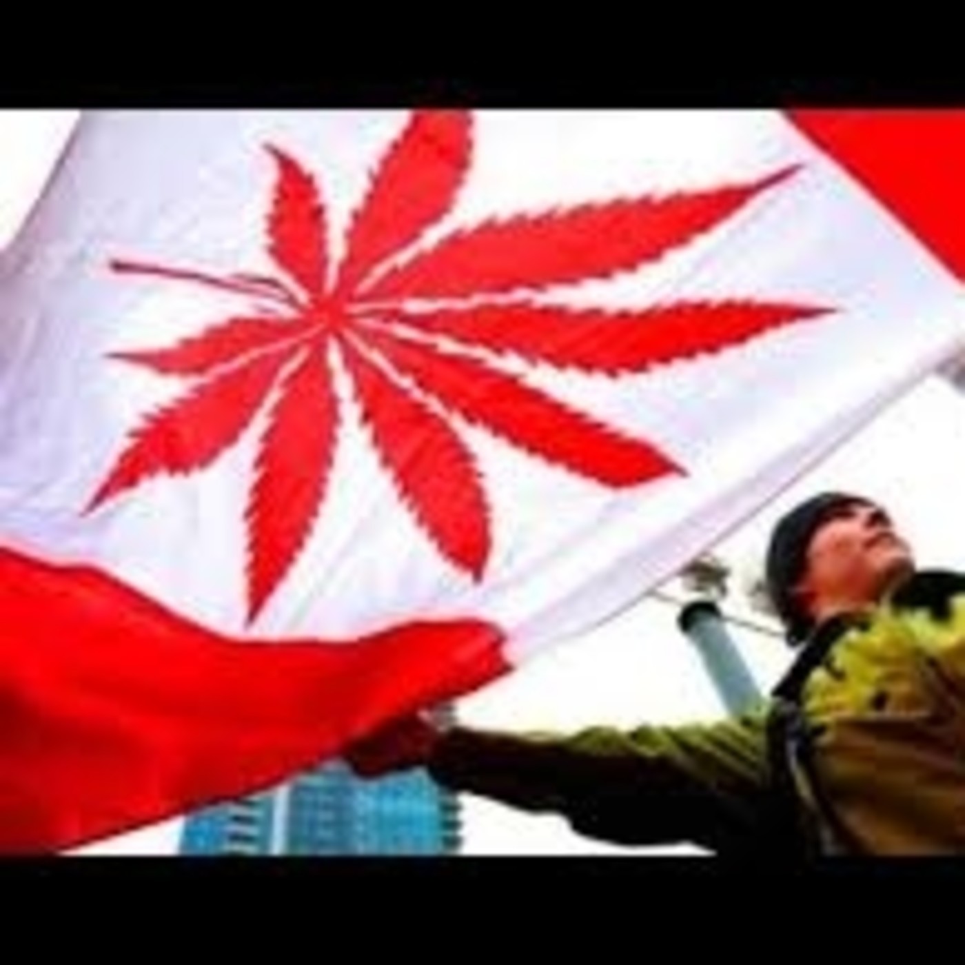 LaOtrA SoCiAcióN del Cannabis DiOsAVeRdE MariHuanA