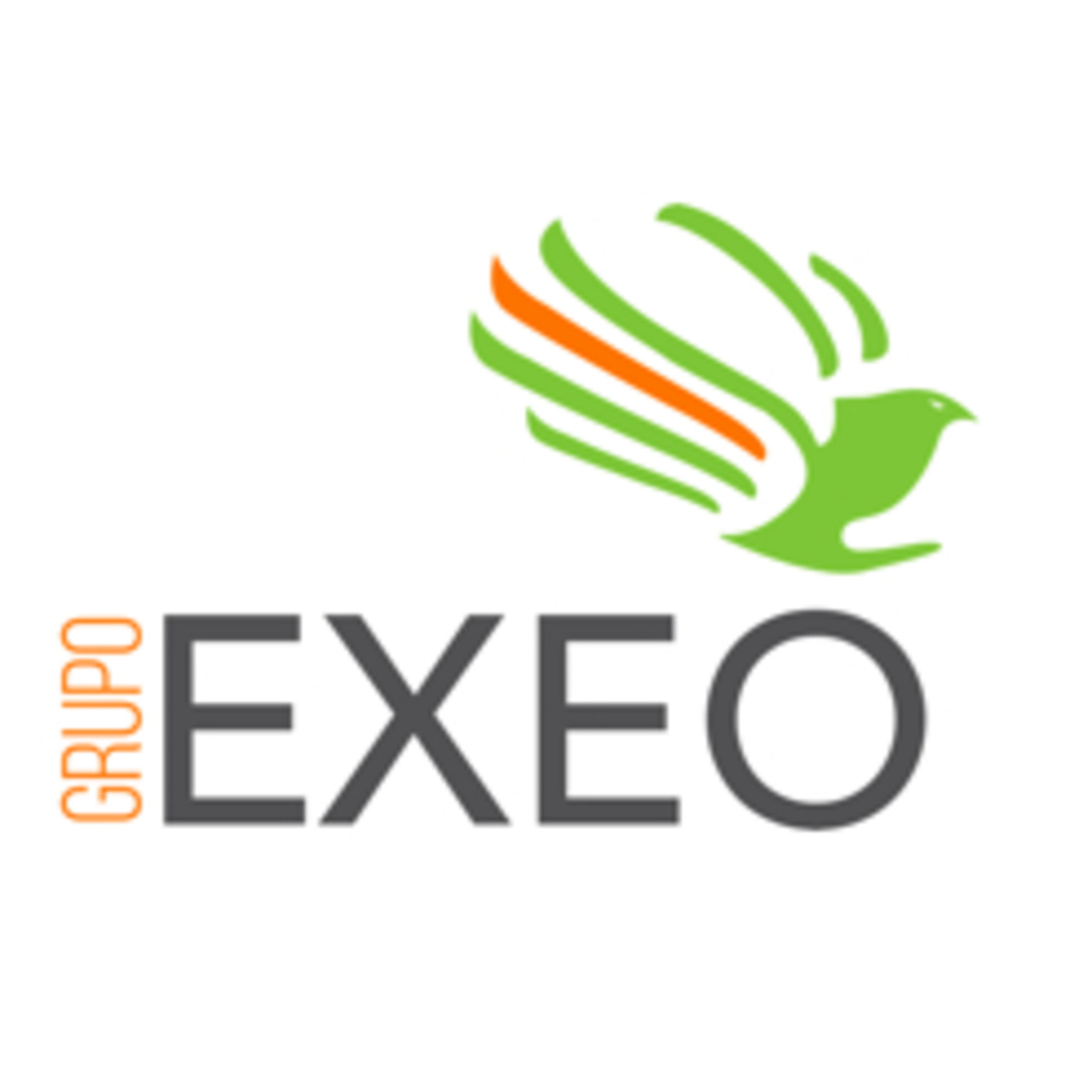 GRUPO EXEO