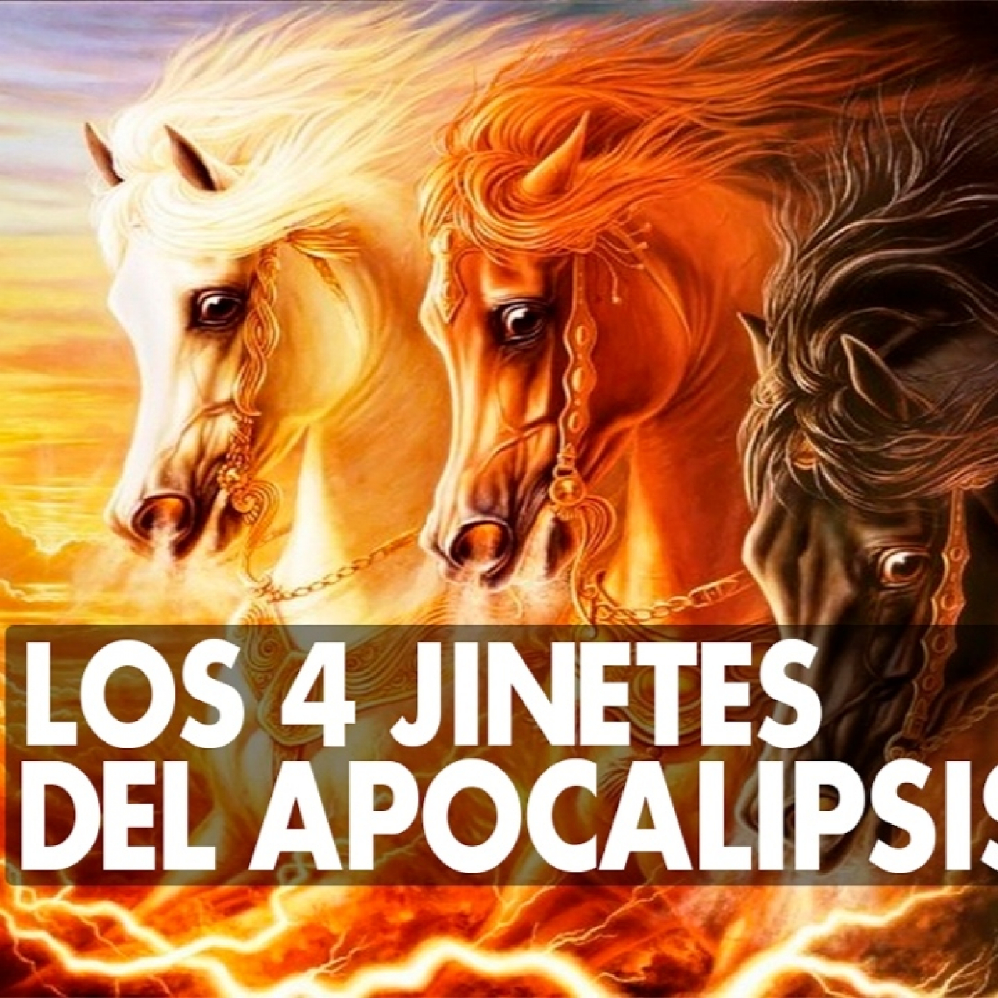 SANIDAD Y LIBERACIÓN