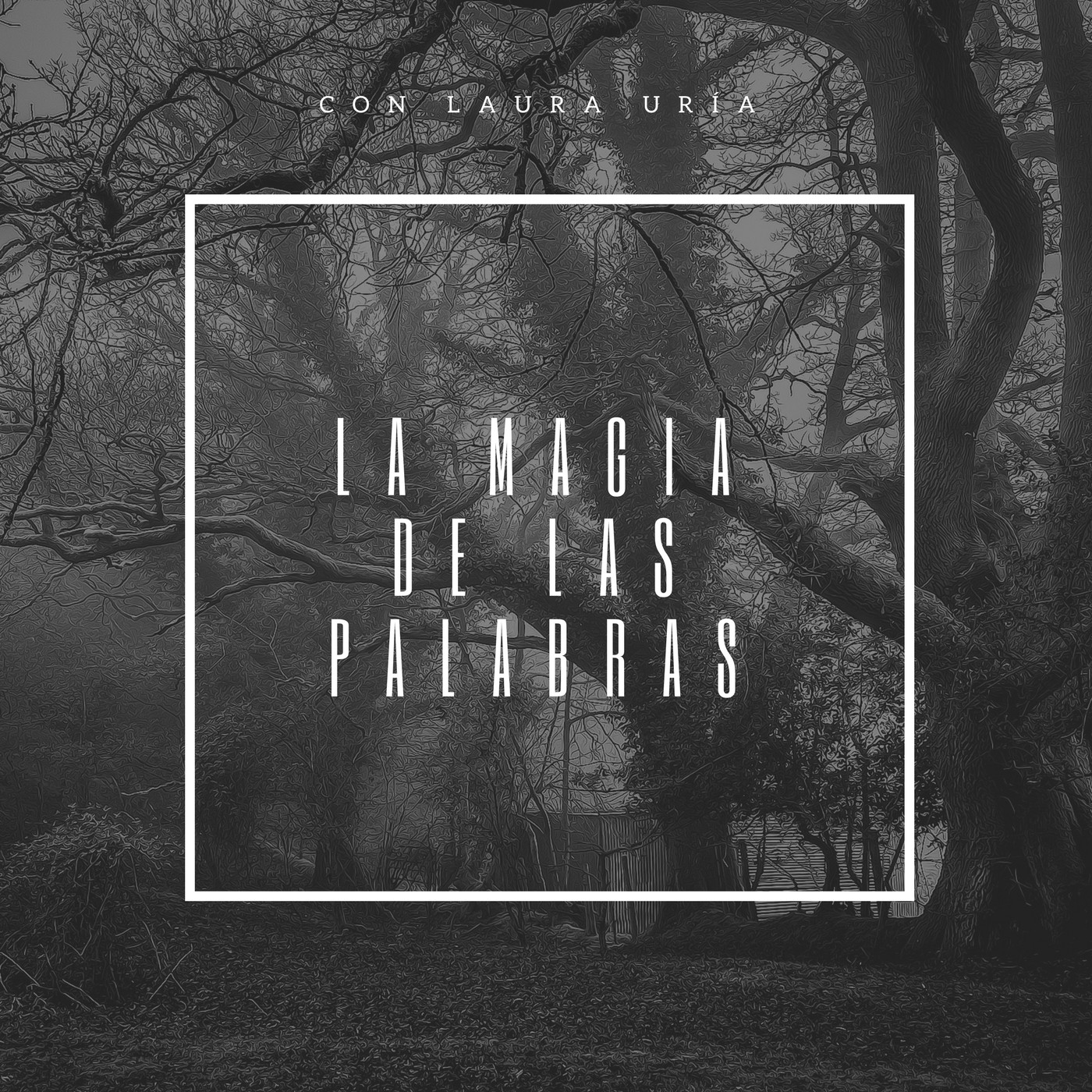 LA MAGIA DE LAS PALABRAS