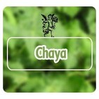 El Angel de tu Salud - CHAYA*