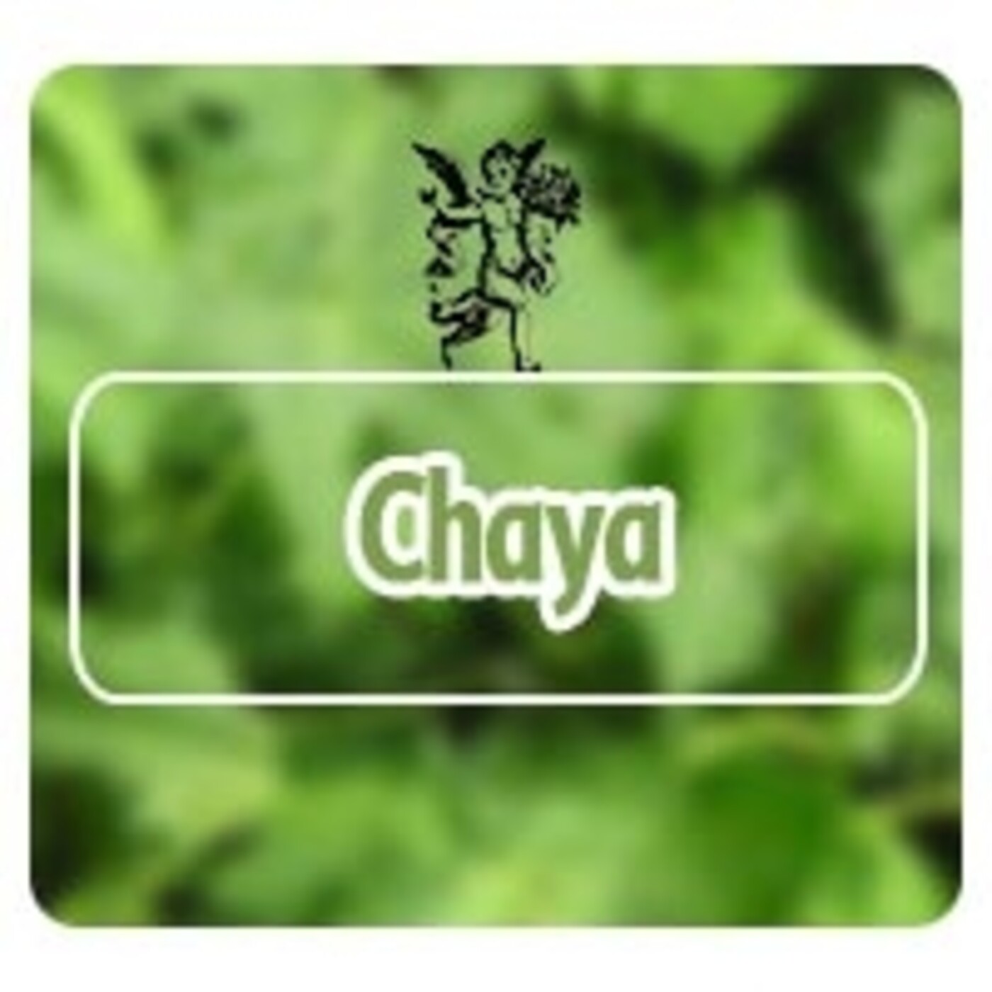El Angel de tu Salud - CHAYA* episode artwork
