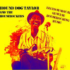 Especial hound dog taylor