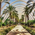 LOS MAS BUSCADOS: Valencia