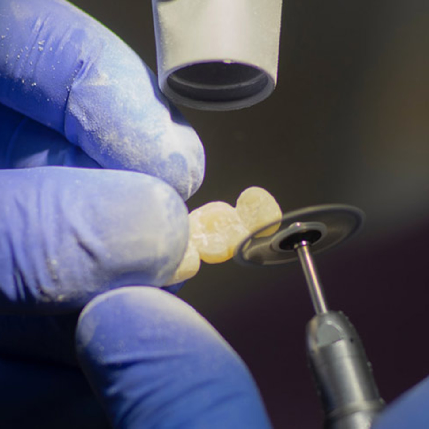 Salud Bucodental