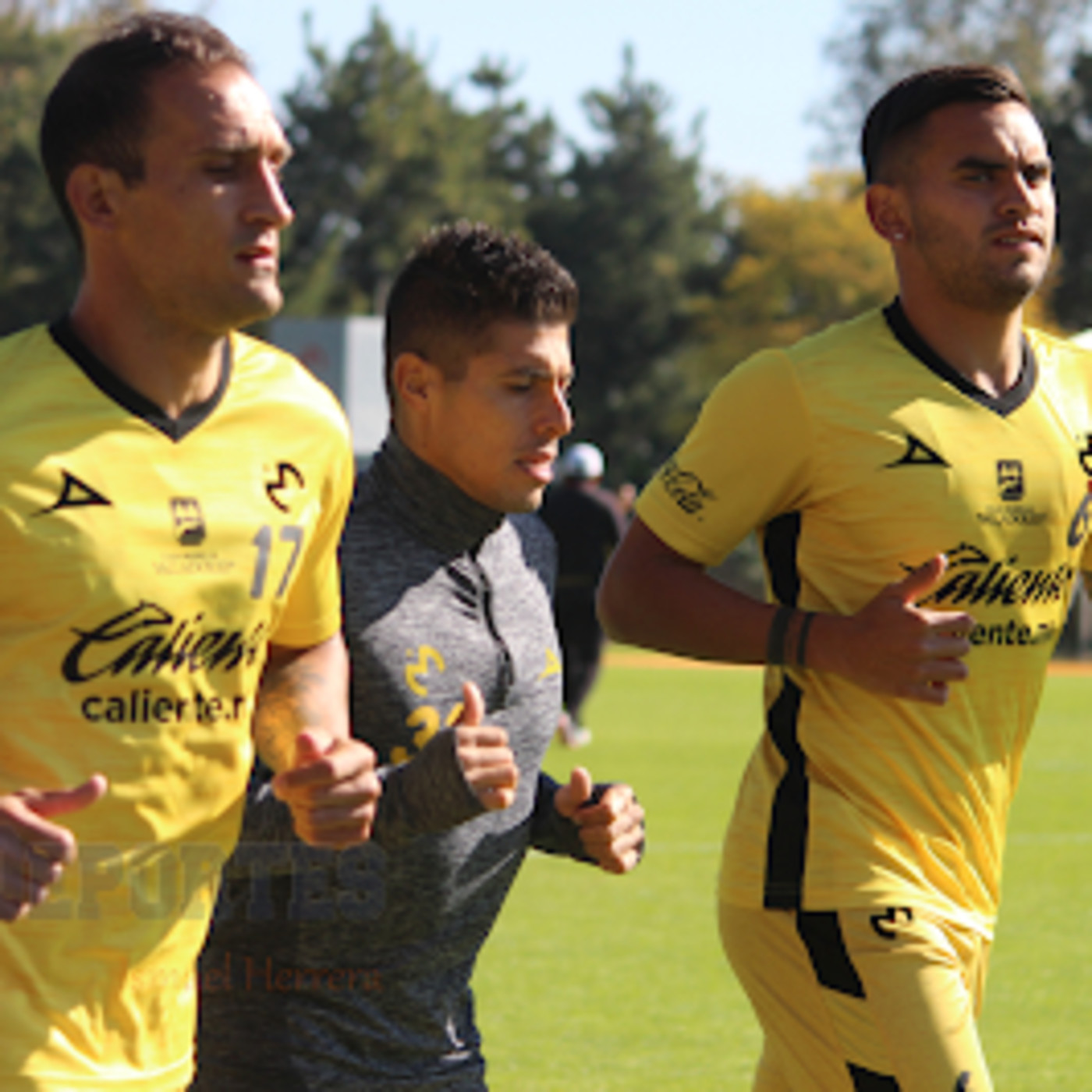 IHDeportes
