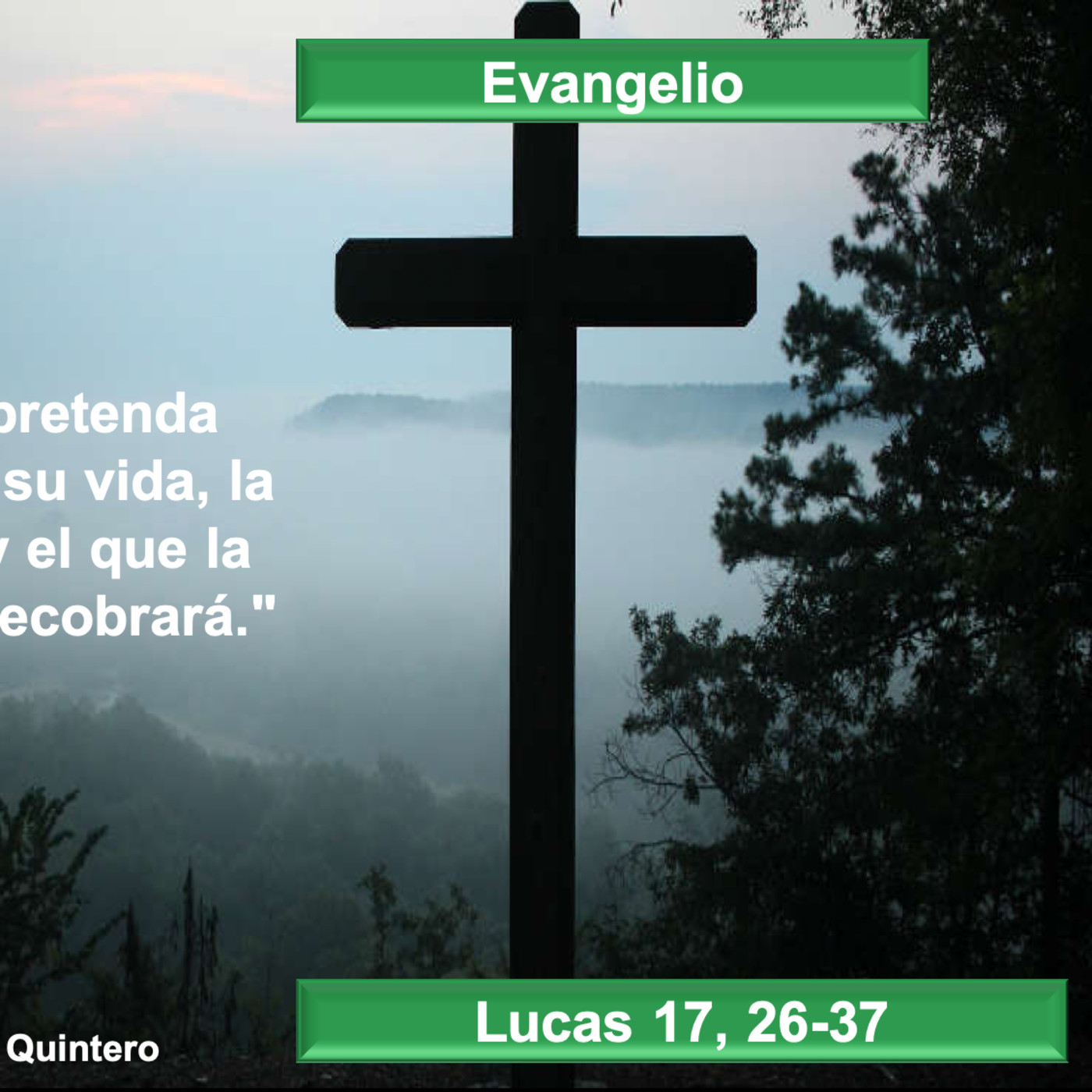Homilías del Padre William Cano Quintero
