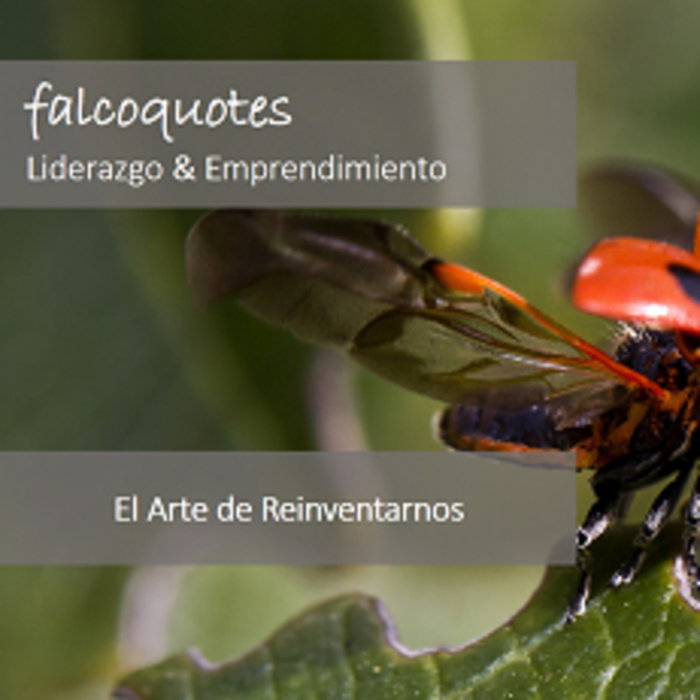 Reiventarse para alcanzar lo que deseamos
