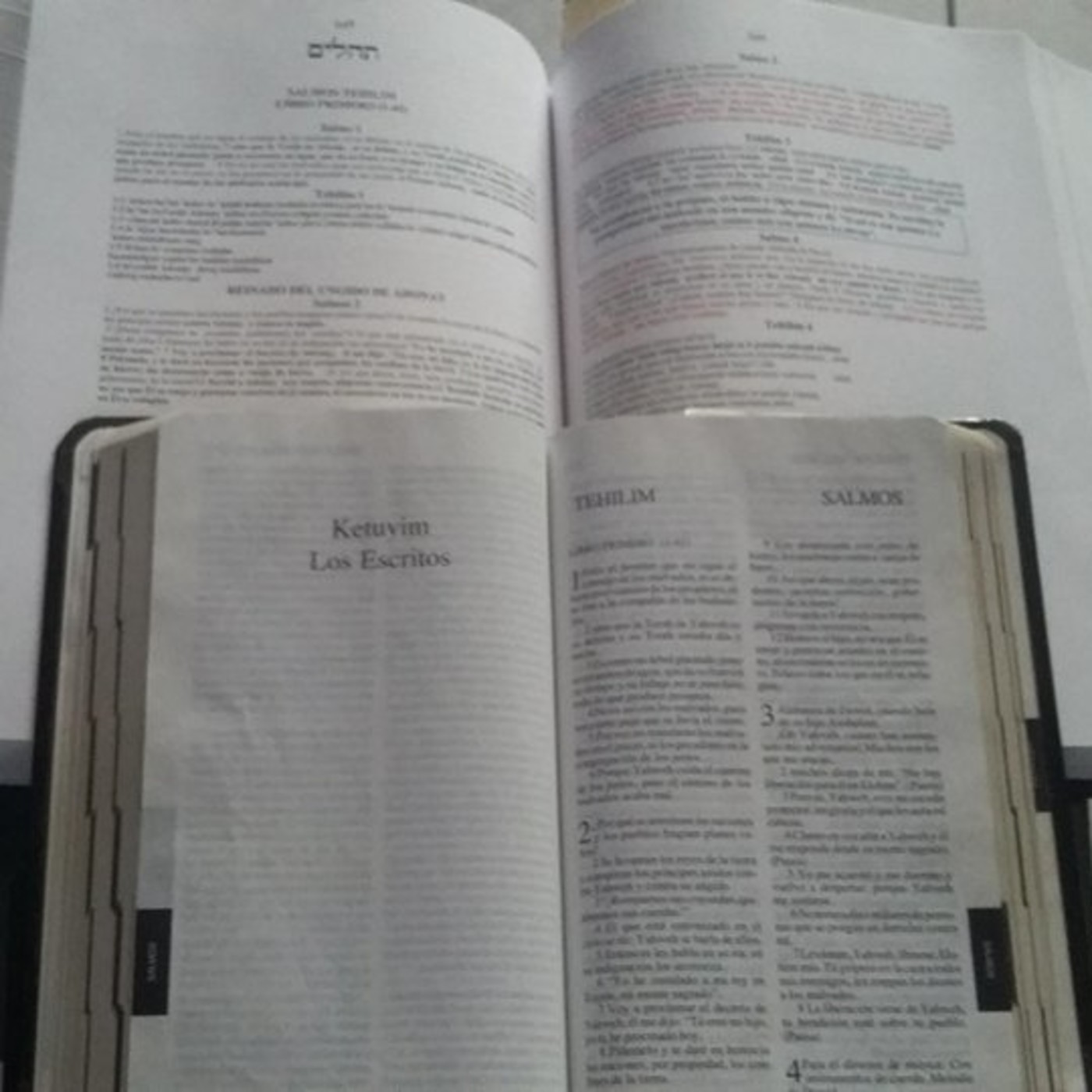 Podcast de Biblia Hebrea.