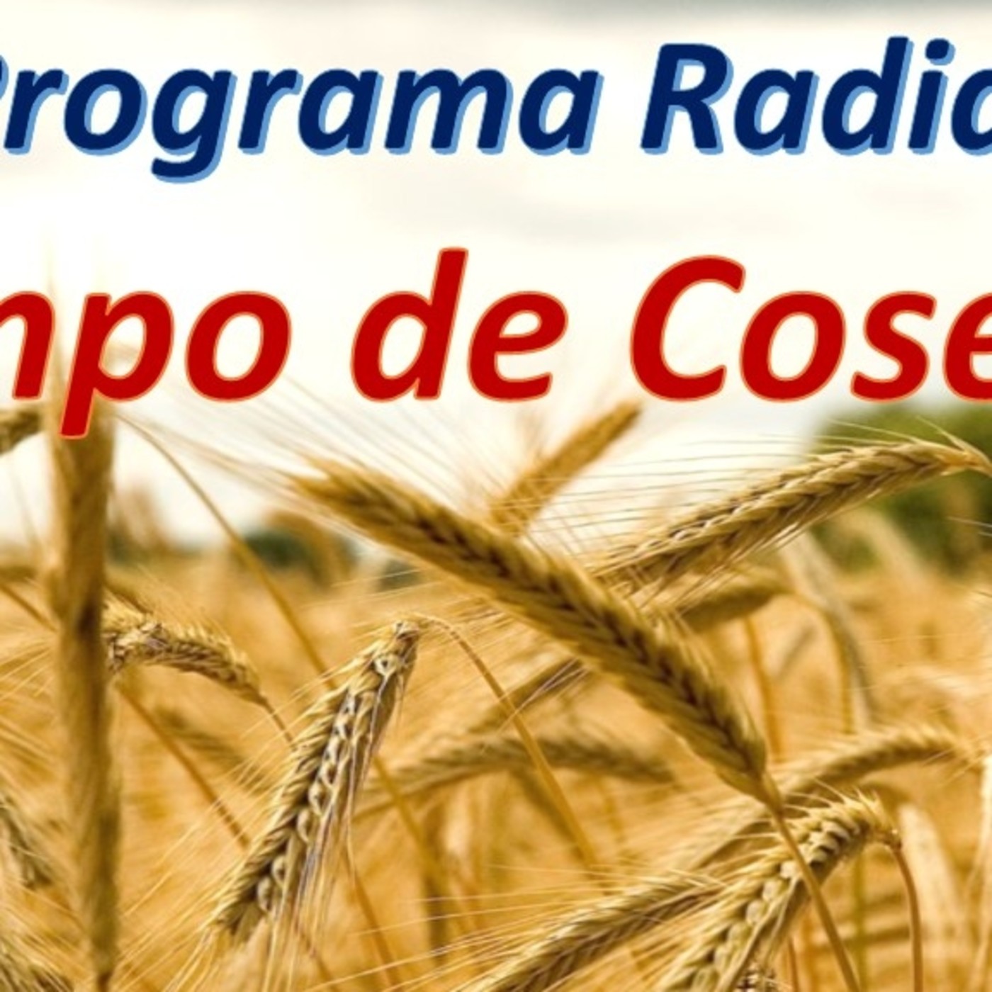 Podcast de Jose Hernan Rodriguez Martinez
