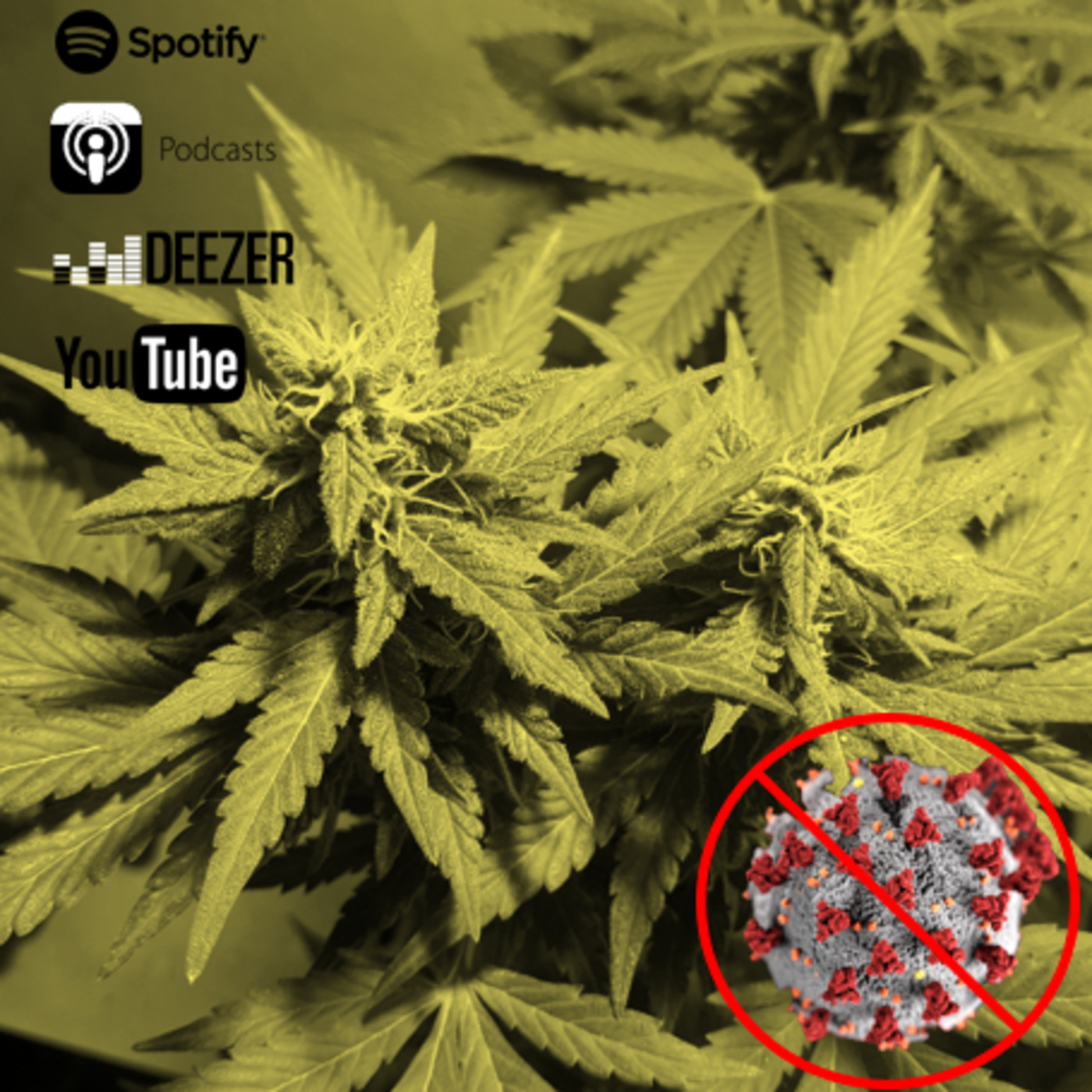 La Voz del Cannabis
