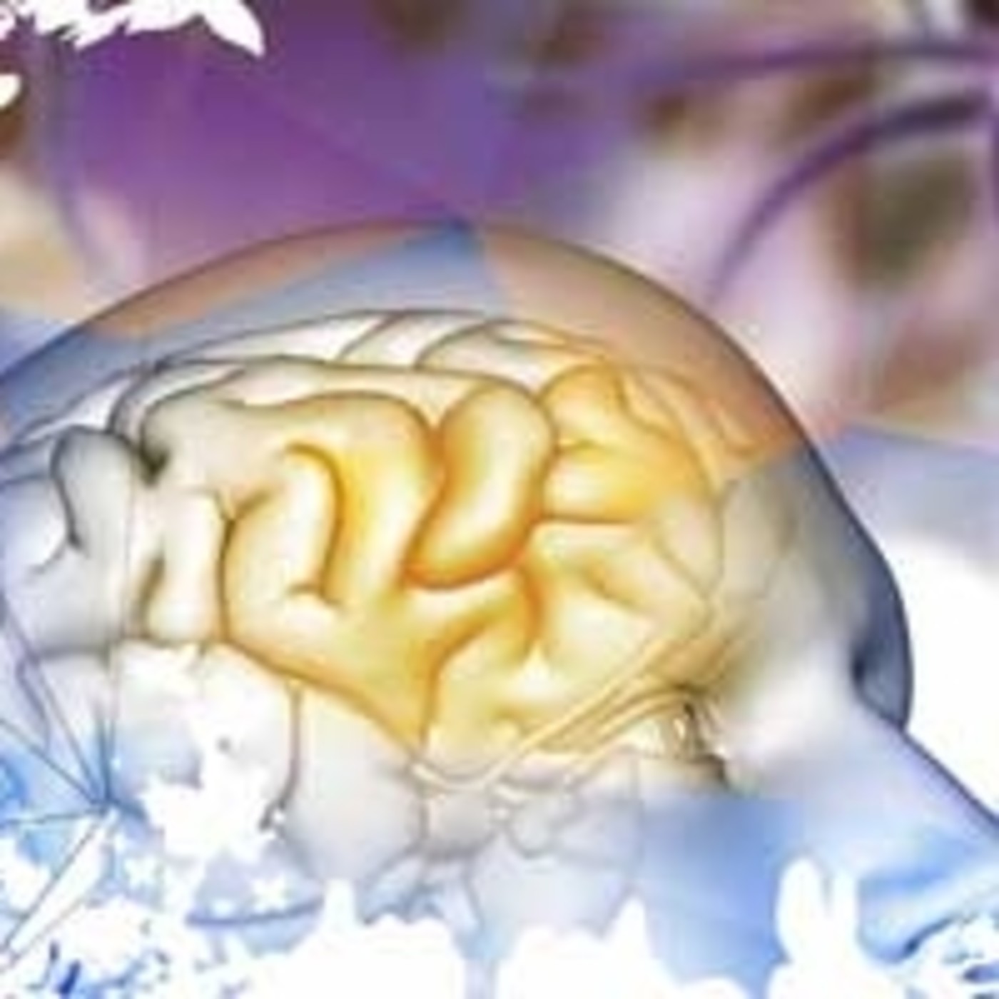 Mente-conciencia.com