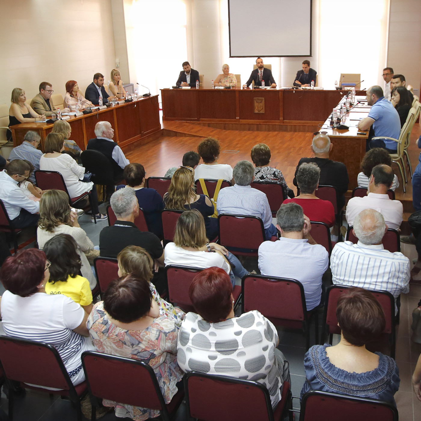 Plens municipals