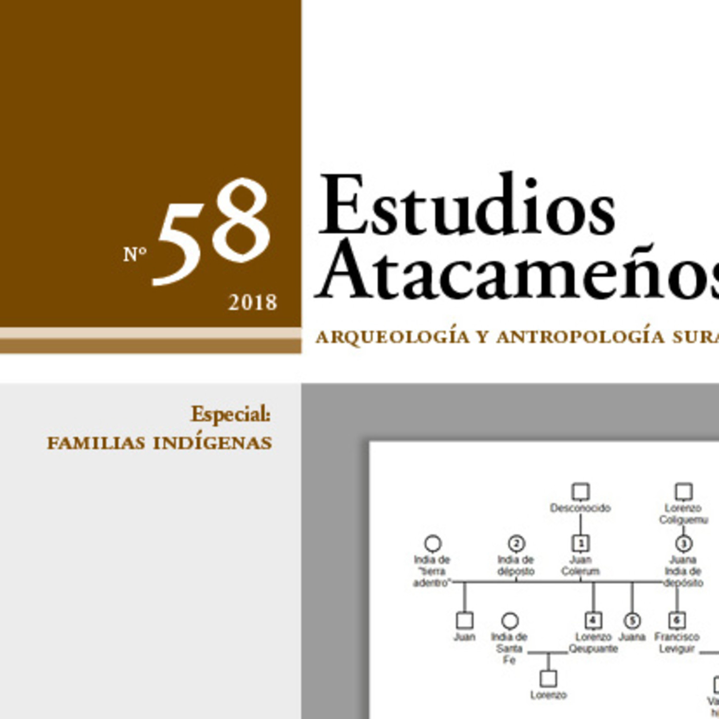 Estudios Atacameños