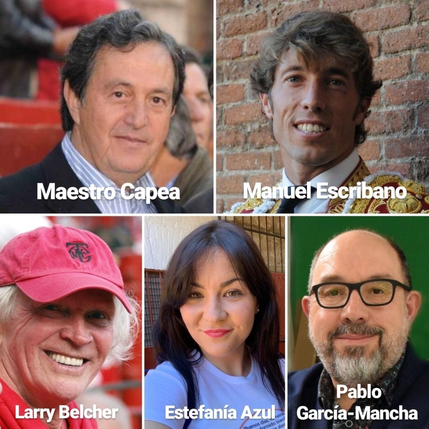 Vermús taurinos del Palacio Guendulain 2019