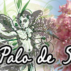 El Ángel de tu Salud - PALO DE SOL1