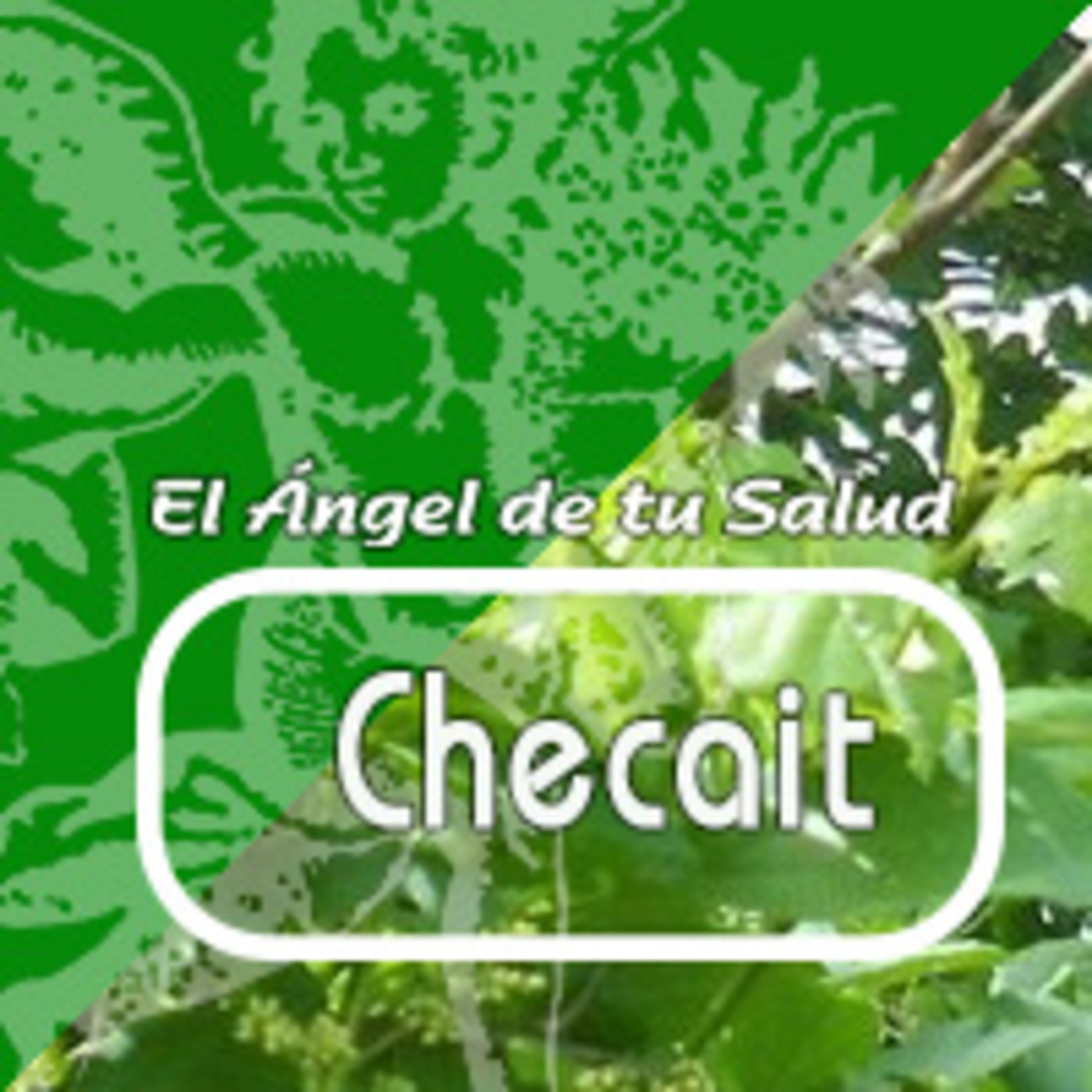El Angel de tu Salud - CHECAIT*** episode artwork