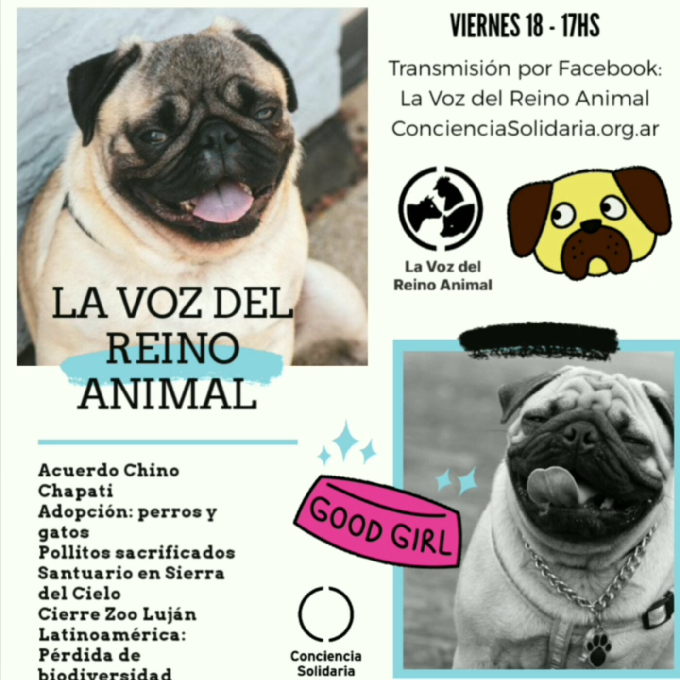 La Voz del Reino Animal