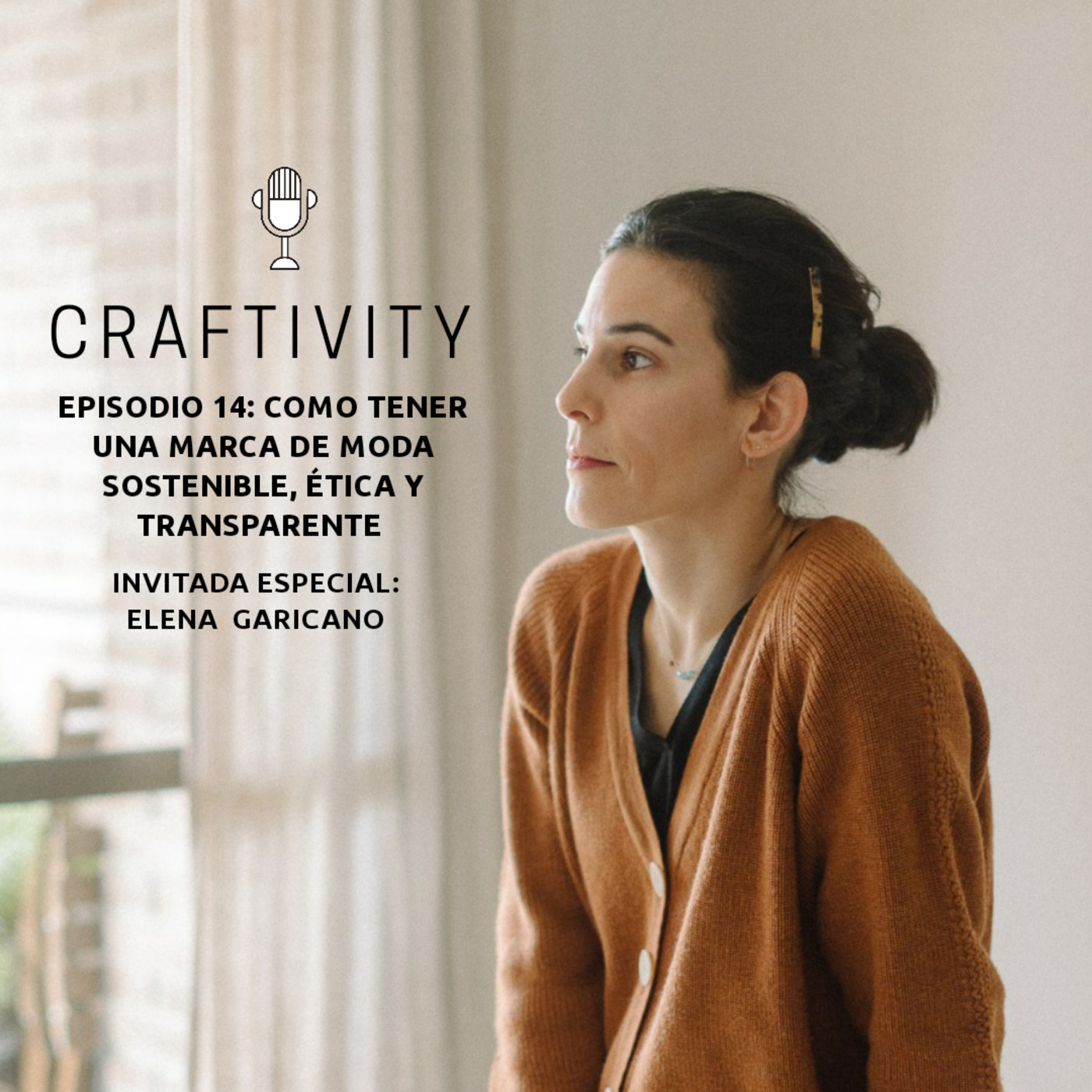 Craftivity