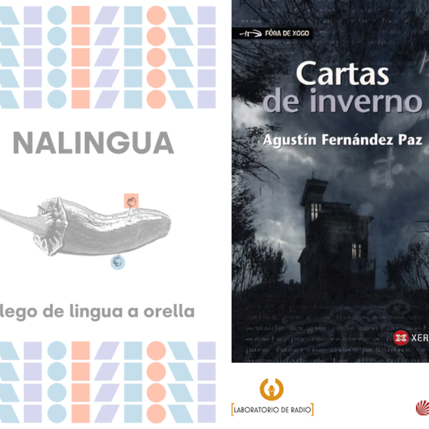 NALINGUA, lecturas dun neofalante