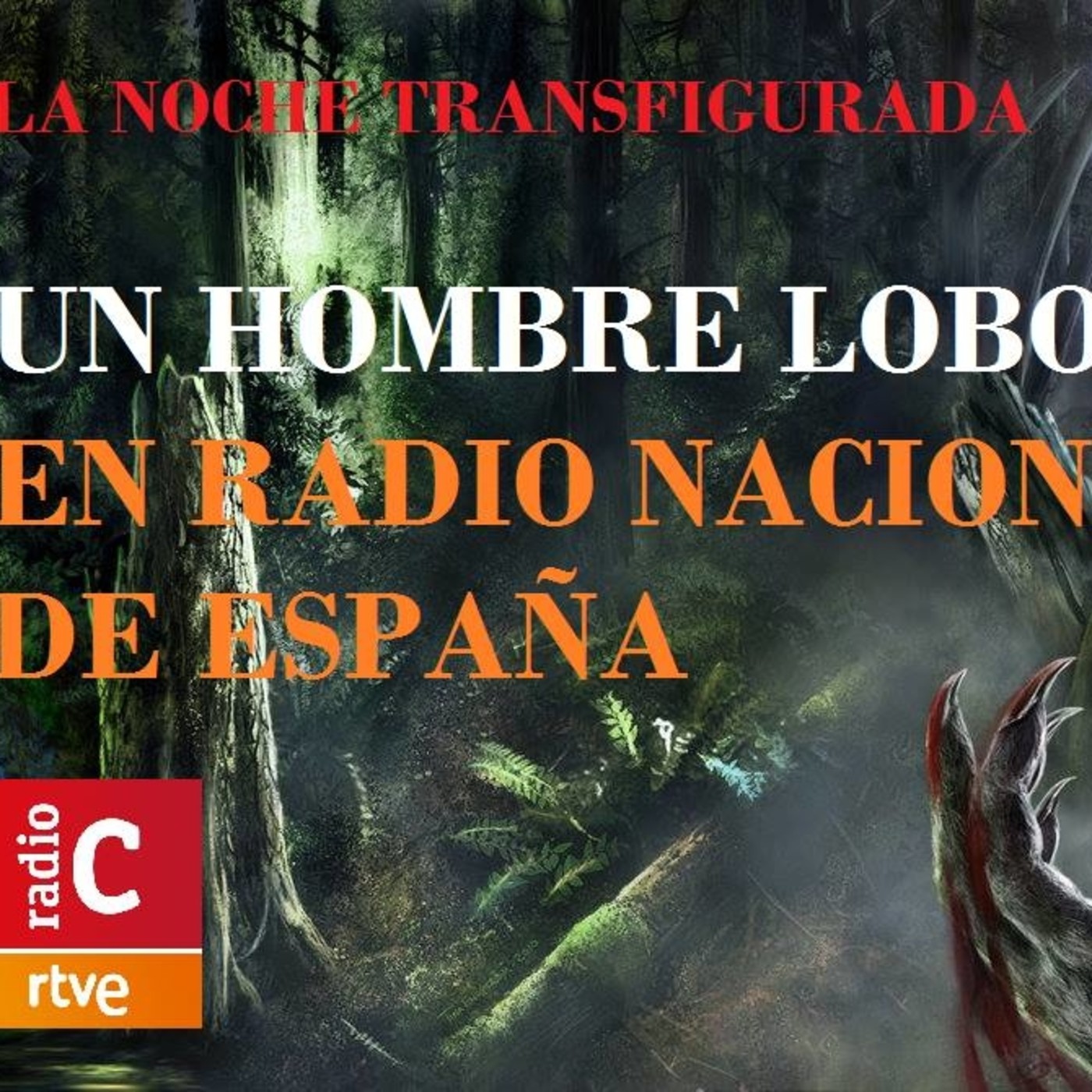 LA NOCHE TRANSFIGURADA