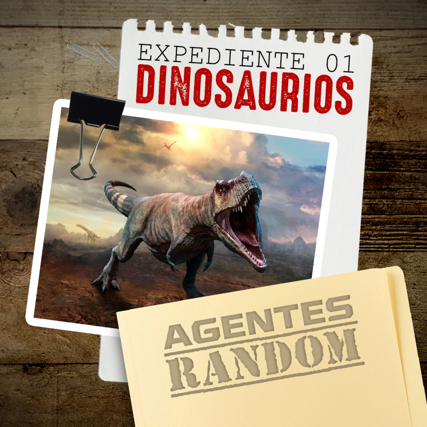 Agentes Random